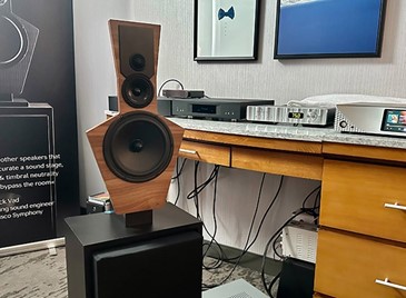 LX521 top baffle special edition - LINKWITZ.store